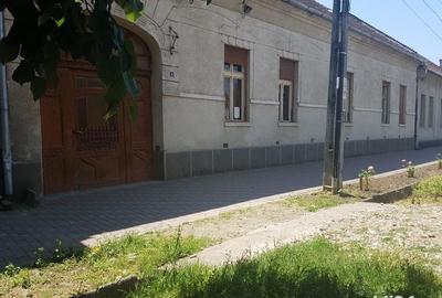 Casă cu 4 camere cu Teren 1217 Mp în Făget - 10