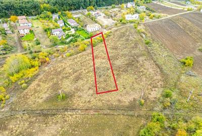 Teren 3000 mp în Snagov – zonă in dezvoltare, aproape de pădure - 5