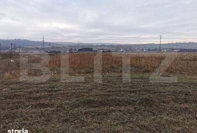 Teren de 5900 mp, în Pătrăuți - 1