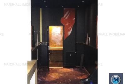 Spatiu comercial de inchiriat, zona Ultracentral, 442 mp #9815 - 8