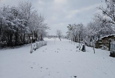 Spatiu comercial cu o suprafata de 150 mp, Suplacu de Tinca, Bihor - 14