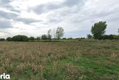 Teren de 4000 mp, în Roseți - 2