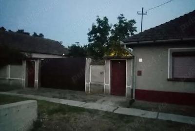 Casă cu Teren 3435 Mp în Boiu - 8