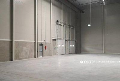 WDP Industrial Park Stefanesti, spatii industriale, 5.000... - 8