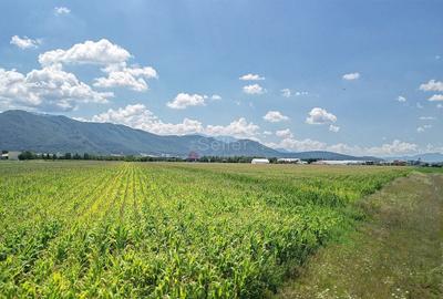 Teren intravilan - 12