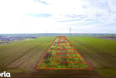 Teren de 505 mp, în Berceni