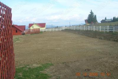 Teren de 5000 mp, în Central - 6