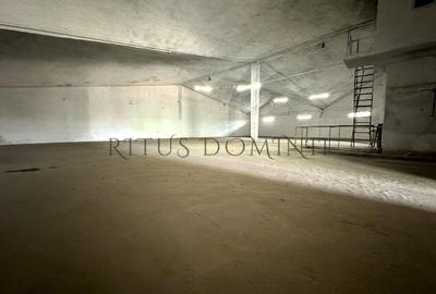 Spațiu industrial, de 524 mp, în Calea Clujului - 1