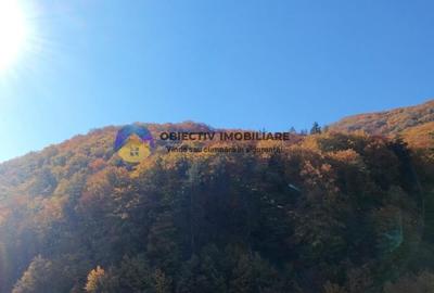 Teren intravilan de vanzare - Piatra Neamt Teren intravilan de vanzare - Piatra Neamt - 12