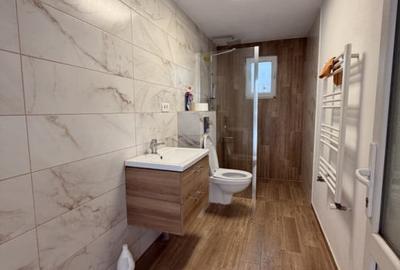 Vila individuala de inchiriat in Timisoara – zona Freidorf - 31