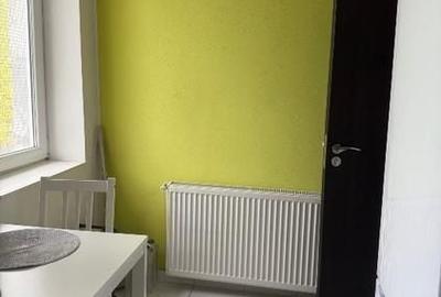 Apartament 2 camere in curte proprie, Viilor/ Parcul Carol - 6