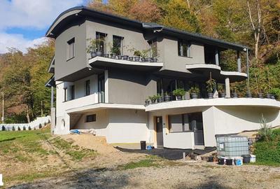 Casă cu 5 camere decomandat cu Teren 4700 Mp în Valea Roșie - 4