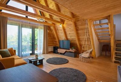 Casă cu 9 camere cu Teren 4000 Mp în Moieciu - 6