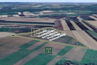 Teren extravilan de 59900 mp, în Ususău - 3