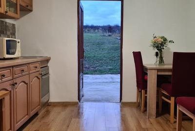 Casă cu 2 camere cu Teren 1500 Mp în Paleu - 1