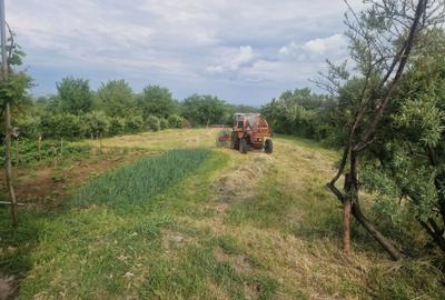 Casă cu 4 camere în Deleni - 5
