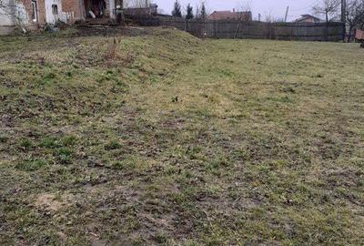 Spațiu comercial, de 3,600 mp, în Șura Mare - 2