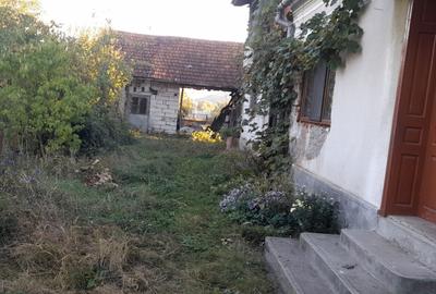 Casă cu 4 camere în Central - 3