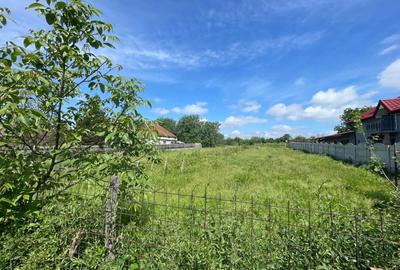 Teren intravilan 2900mp cu deschidere de 30m si cu toate utilitatile in Carcea - 1