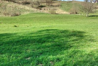 Spațiu comercial, în Șinca - 1