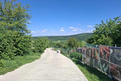 Spațiu comercial, în Dorobanț - 6