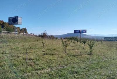 Teren de 12300 mp, în Crainimăt - 4