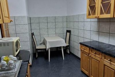 Garsonieră decomandată în Turnișor - 7