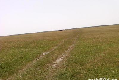 Teren de 9.5 mp, în Ceamurlia de Jos - 4