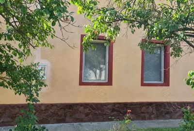 Vand casa in comuna Biled sau schimb cu apartament 3 camere - 9