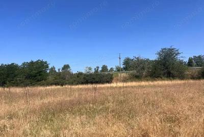 Teren agricol cu potential 24.834 mp, zona Podul Jiului Teren agricol cu potential 24.834 mp, zona Podul Jiului - 4