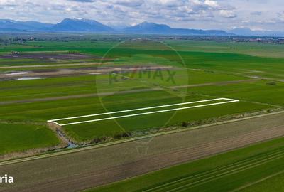 Spațiu comercial, în Lunca Mărcușului - 7