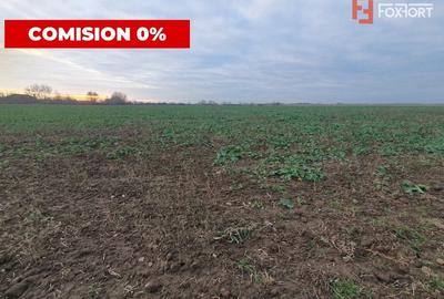 Comision 0% Teren extravilan agricol 21,32 ha sau intravilan cu PUZ aprobat - 19