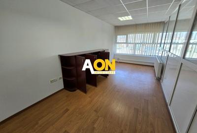 Spațiu industrial, de 560 mp, în Ampoi 1 - 19
