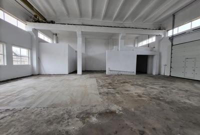 Spațiu industrial, 240 mp în Vest