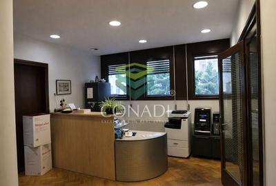 Apartament in vila zona Aviatorilor - 43