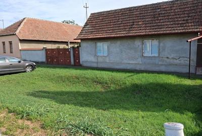 Casă cu 2 camere în Iratoșu - 2