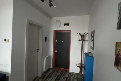 Apartament cu 2 camere semidecomandat, mobilat în Micălaca - 12