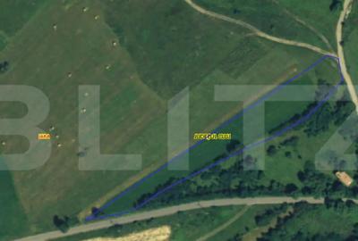 Teren de 5008 mp, în Iara