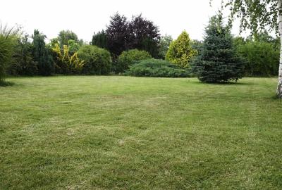 Casă cu 4 camere în Aradul Nou - 2