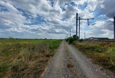 Ocazie!!! Teren cu PUZ pentru hala in Sofronea! - 4