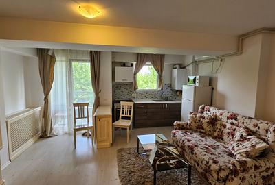 Garsoniera zona Otopeni (Aeroport) bloc NOU, Mobilata-Utilata MODERN - 8