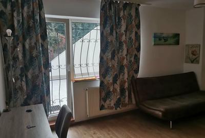 Garsonieră decomandată în Dosu Bricii - 1