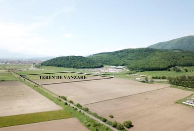 Teren la DN 1 Codlea ideal comercial - 6