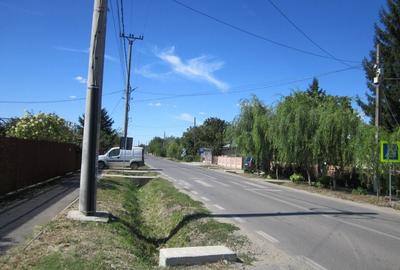 Domnesti Teghes-Padurarului - 9