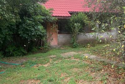 Teren de 1300 mp, în Calea București - 3