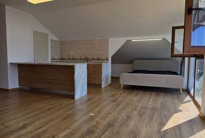 Casă cu 4 camere în Snagov - 1