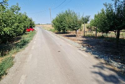 Teren de 1120 mp, în Drajna Nouă