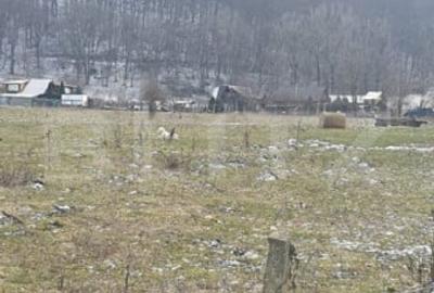 Teren de 5200 mp, în Central