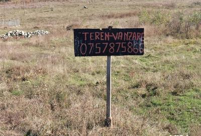 Teren de 5000 mp, în Ciurea - 2