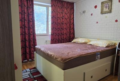 Apartament cu 2 camere decomandat în Giurgiului